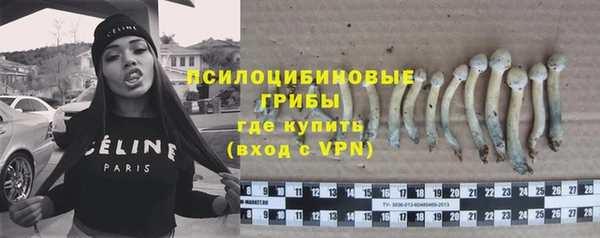 винт Балахна
